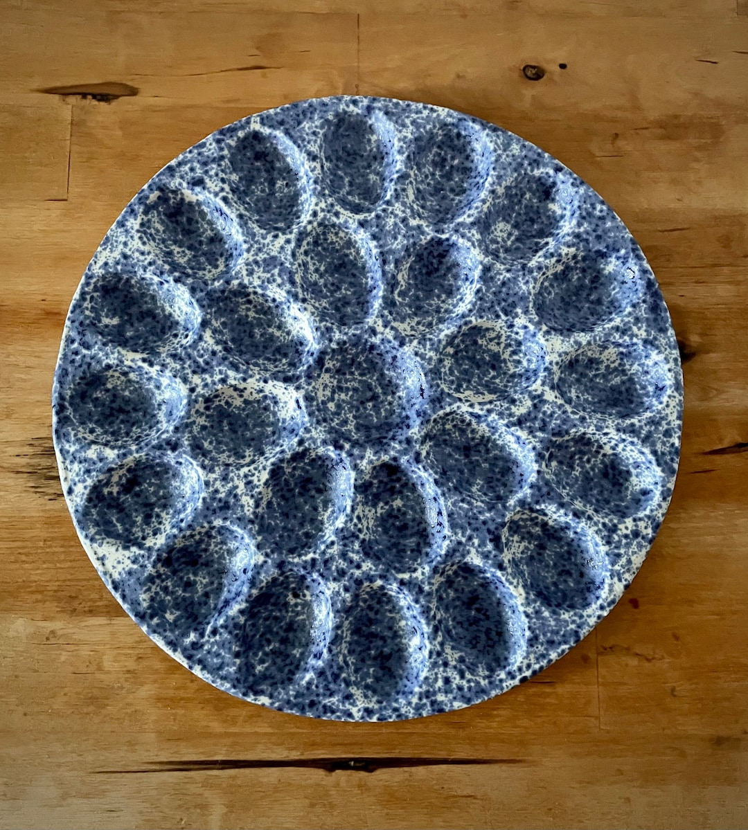 Pottery Deviled Egg Platter Blue & White Speckled Etsy
