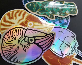 Living Fossils Stickers - Coelacanth, Nautilus, Horseshoe Crab and holographic of each!