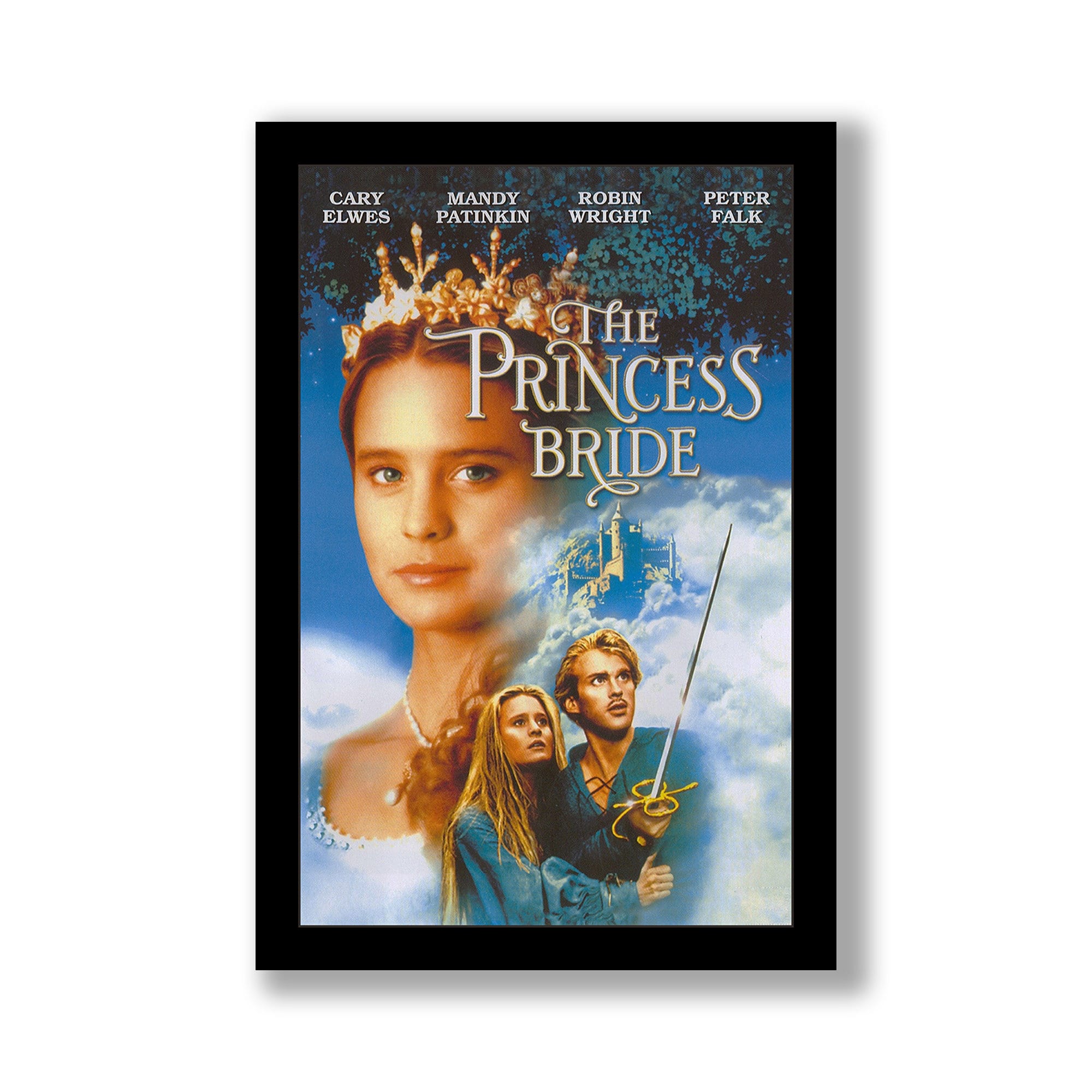 The Princess Bride Theatrical Poster - Where Can I Watch The Princess Bride For Free