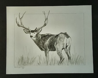 Deer Drawing Original Art