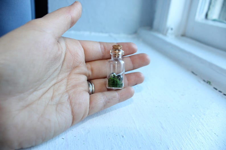 Miniature dragon/'s egg in glass bottle