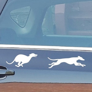 SIGHTHOUND STICKERS, Whippet decals, Greyhound safety stickers for glass doors / bird strike. Galgo Iggy Lurcher for car, walls, laptop etc