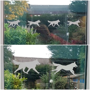 Op de afbeelding: Een raam met een wit silhouet van vijf rennende honden op een helder glazen oppervlak. De honden staan in een rij en rennen in dezelfde richting. Het raam bevindt zich in een woonwijk, met bomen en huizen zichtbaar op de achtergrond.