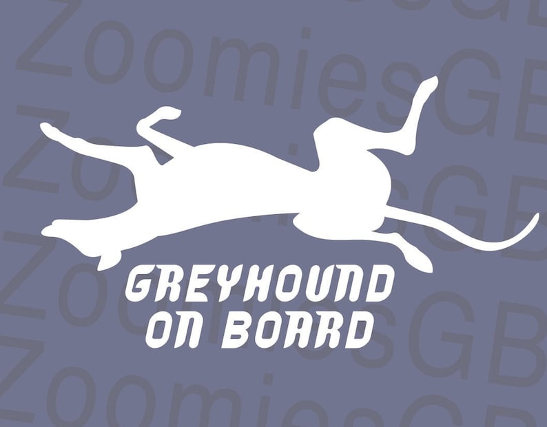 Peut inclure: Silhouette blanche d'un l&eacute;vrier afghan couch&eacute; sur un fond violet avec le texte "Greyhound On Board" en blanc.