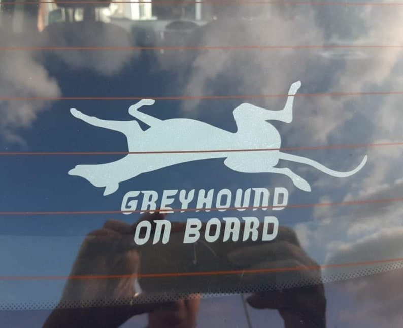 Peut inclure: Une silhouette blanche d'un l&eacute;vrier couch&eacute; sur le dos sur la vitre arri&egrave;re d'une voiture bleue. Le texte "GREYHOUND ON BOARD" est sous le chien.