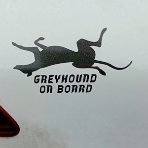 GREYHOUND / WHIPPET / LURCHER on board Car sticker / decal. Funny roaching hound, long lasting sighthound bumper vehicle sticker