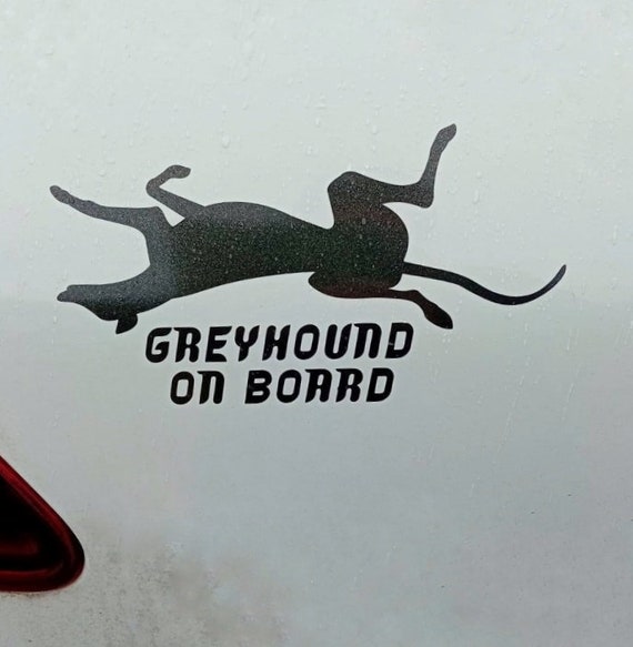 GREYHOUND / WHIPPET / LURCHER on board Car sticker / decal. Funny roaching hound, long lasting sighthound bumper vehicle sticker