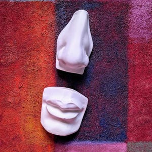 May include: Two white plaster face sculptures: a nose and a mouth. The objects are set against a colorful background of red, purple, and blue hues. The nose is detailed, and the mouth is slightly open.