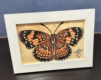 Butterfly Framed Print