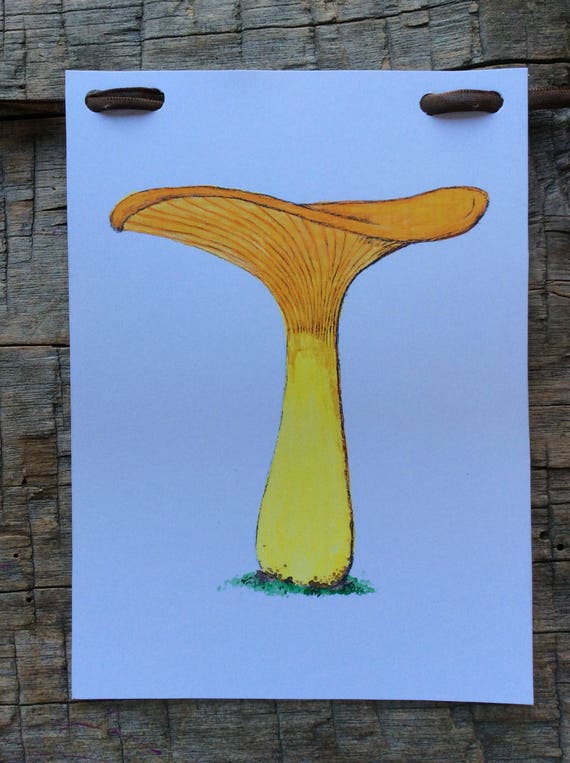 Forest Name Banner For Nursery Or Babyshower Mushroom Etsy