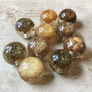 Könnte beinhalten: Neun transparente Glaskugeln gefüllt mit verschiedenen getrockneten Samen, Körnern und Bohnen. Die Kugeln sind in einer Gruppe auf einer hellgrauen, strukturierten Oberfläche angeordnet.