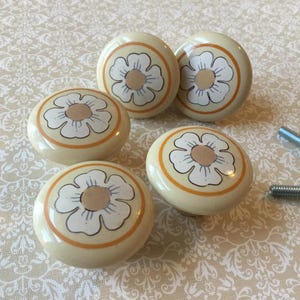 May include: Five cream-coloured cabinet knobs with a floral design. Each knob features a white flower with a tan centre and a thin orange border. Several silver screws are also visible.