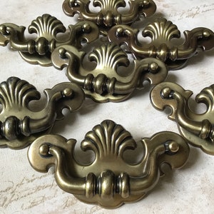 Könnte beinhalten: Ein Satz von sechs antiken Messing-Schrankgriffen mit einem dekorativen Muschel-Design. Die Griffe haben einen Vintage-Look und wären eine großartige Ergänzung für jedes Zuhause.
