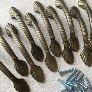 May include: Ten antique brass-effect cabinet handles with a shell design. Each handle has a curved shape with a decorative shell-shaped end. Includes a set of silver screws for installation.