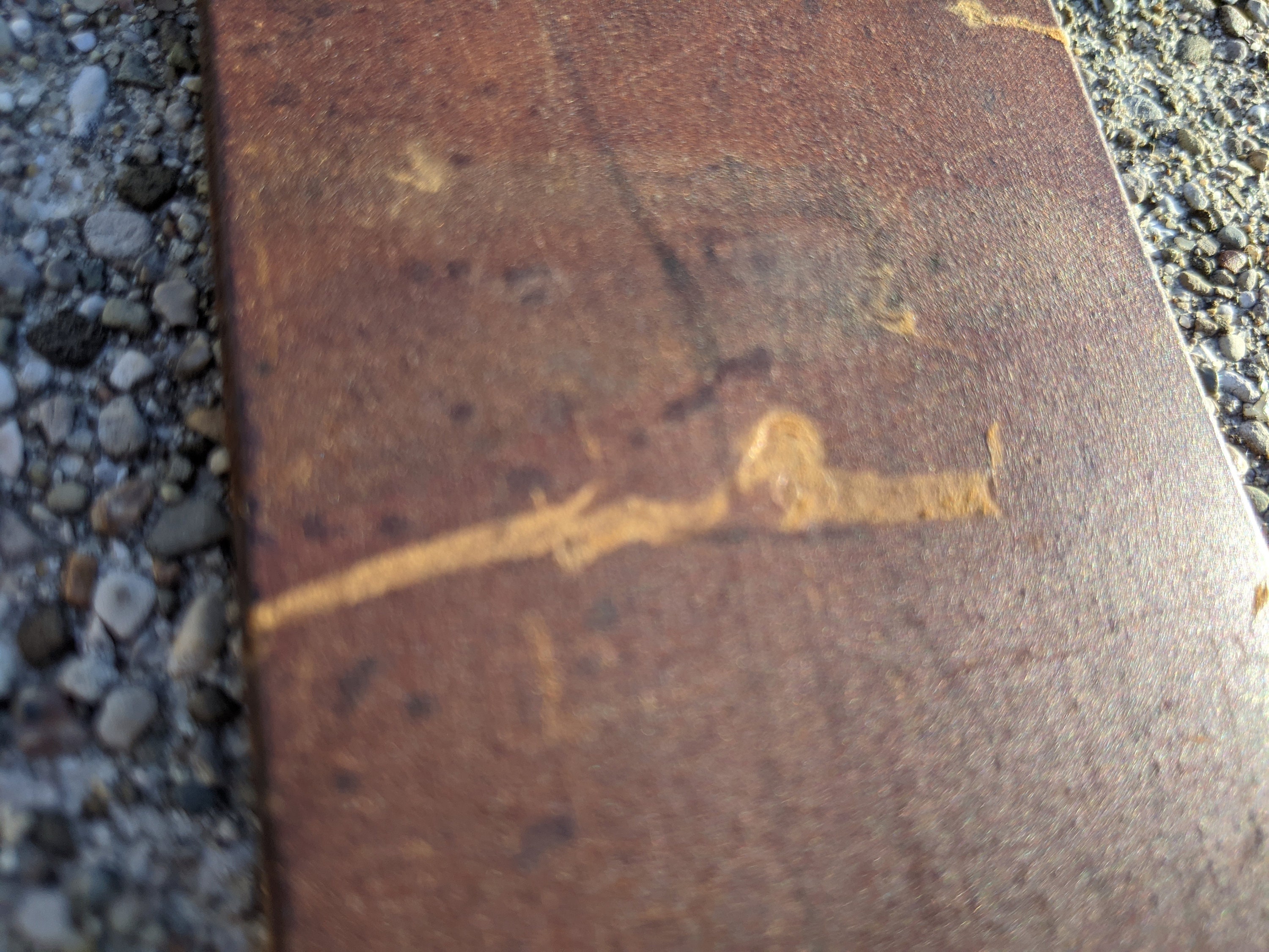 Vintage Russian Shell Strop for Straight Razor Strop Russia Shell 165A