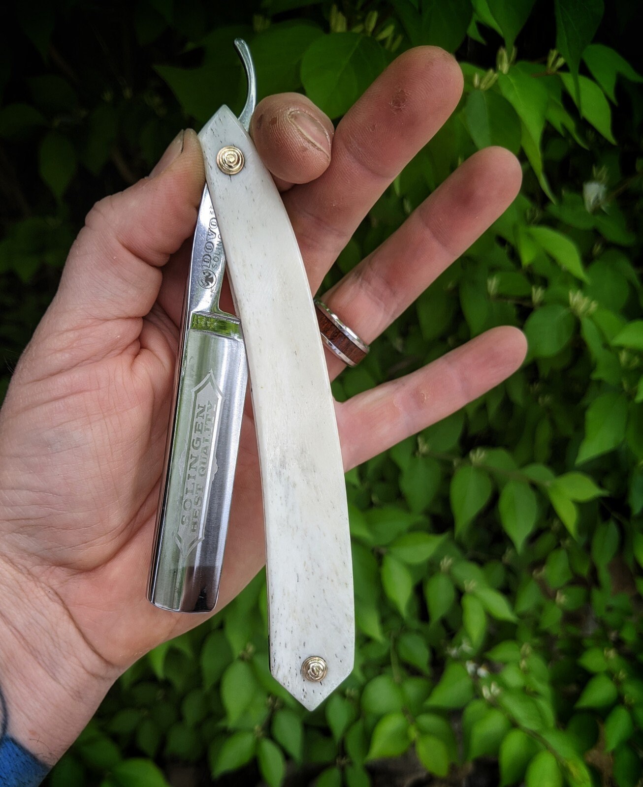 Dovo Custom Straight Razor Bone Scales brass 5/8