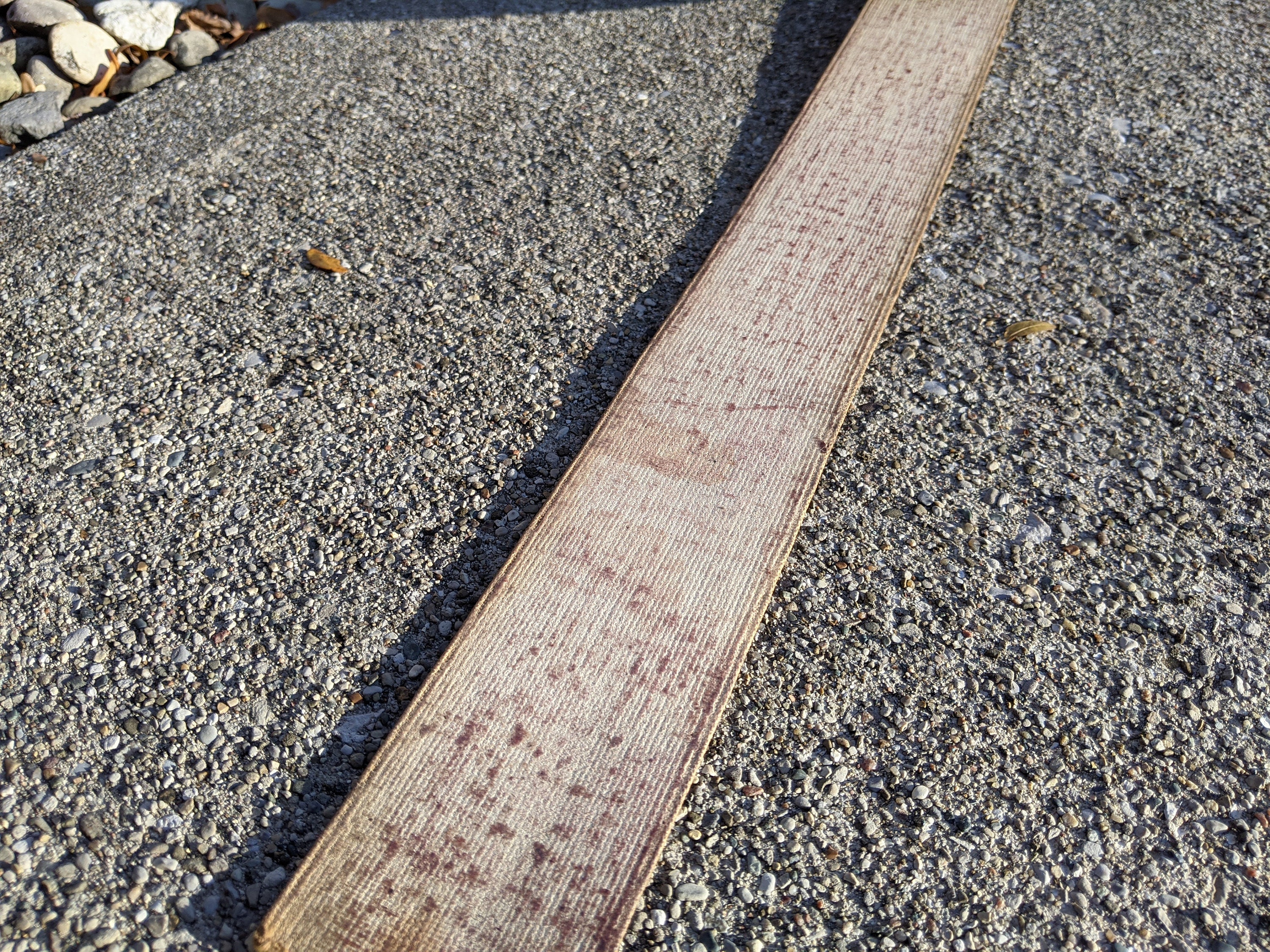 Vintage Russian Shell Strop for Straight Razor Strop Russia Shell 165A