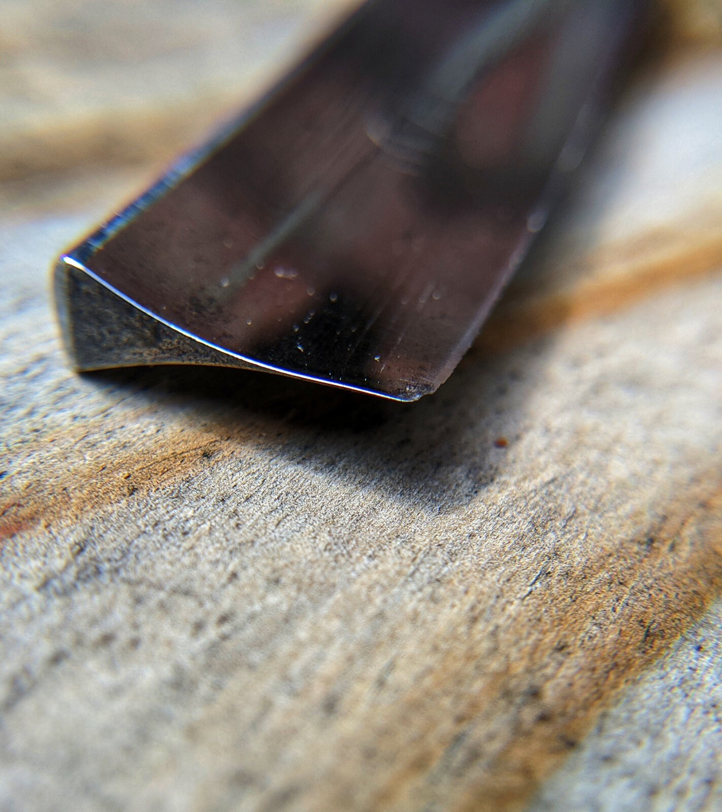 joysway invincible razor