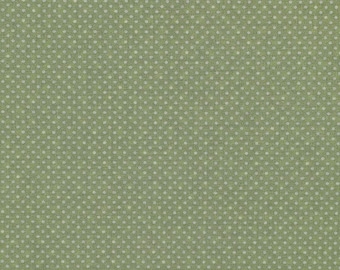 E917 Light Green Woven Soft Crypton Upholstery Fabric