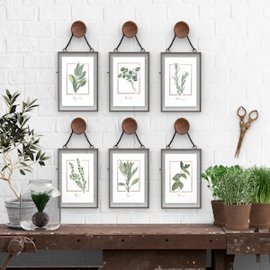 Set of 6 Watercolor Herb Paintings with real Rose Gold Foil details, Botanical art, housewarming gift, birthday, christmas, kitchen wall art