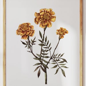 Marigold Watercolor Print: October Birth Flower Wall Art