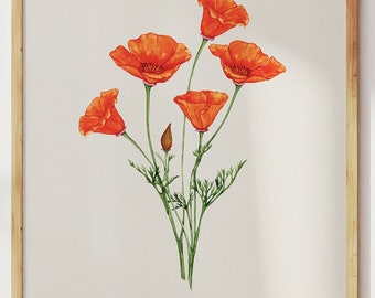 California Poppy Art Print: Watercolor Wildflower Painting