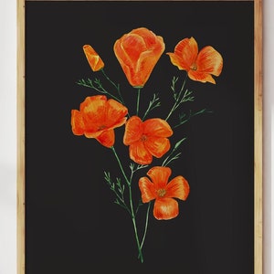 California poppy dark botanical art print. Orange watercolor poppies painting. Wild flower print. Bright wall art - California State Flower