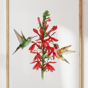 Könnte beinhalten: Ein gerahmter Druck mit zwei Kolibris in der Nähe einer leuchtend roten Blume mit grünem Laub. Die Vögel haben grüne und braune Federn. Das Kunstwerk ist vor einem weißen Hintergrund und in einem hellbraunen Holzrahmen gerahmt.