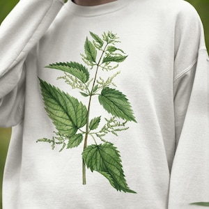 Nettle sweatshirt. Illustrated plant shirt. Gift for herbalist. Herbal medicine botanical sweatshirt. Stinging nettle plant art jumper