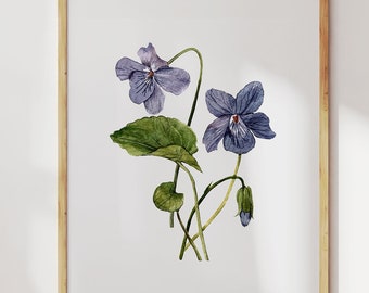 Purple Violets Print. February Birth Flower Wall Art. Watercolor Floral Painting Home Decor