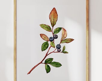 Huckleberry Botanical Print: Watercolor Wild Berry Forest Art