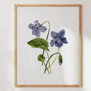 Purple Violets Print. February Birth Flower Wall Art. Watercolor Floral Painting Home Decor
