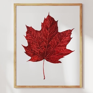 Ahornblattdruck. Aquarell kanadischer Ahorn Wandbild. Roter Ahorn Malerei Herbst Dekor