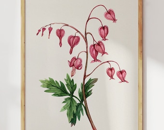Bleeding Heart Flower Print: Original Watercolor Botanical Wall Art