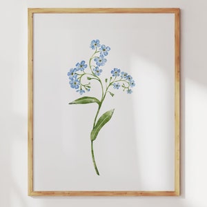 Forget me not Flower Print. Watercolor Floral Wall Art. Forget-me-not Painting Cozy Home Decor. Thinking of You Gift