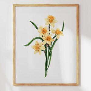 Daffodil Art Print-March Birth Flower Print. Birthflower Watercolor Painting. March Birthday Gift