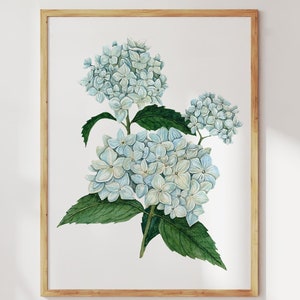 Aquarell Hortensien Druck. Blaue Hortensie Botanische Malerei Wandkunst. Gemalte Hortensien Blumen Dekor. Frühling Sommer Gartenblumen