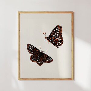 Baltimore Butterfly Etsy