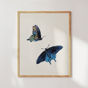 Stampa di farfalla a coda di rondine. Dipinto di farfalla ad acquerello. Opera d'arte di insetti. Arte murale di entomologia. Stampe artistiche originali. Regalo per gli amanti delle farfalle