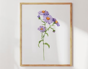 Aster flower watercolor print. September birth flower wall art. Aster painting botanical wall art. Asters artwork