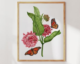 Monarch butterfly art print. Watercolor Milkweed plant botanical art print. Monarch butterfly wall art. Milkweed for Monarchs prints