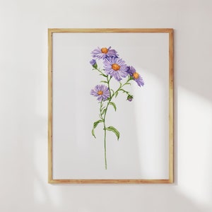 Stampa acquerello di fiori di aster. Arte murale di fiori di nascita di settembre. Pittura di aster, arte murale botanica. Opera d'arte di aster