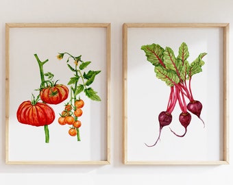 Vegetable Garden Prints: Tomato and Beetroot Watercolor Wall Art Set of 2