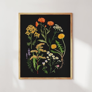 Herbalist dark botanical print. Medicinal plant art. Herbalism wall art. Healing herbs gift. Herbal medicine art. Herbal apothecary decor