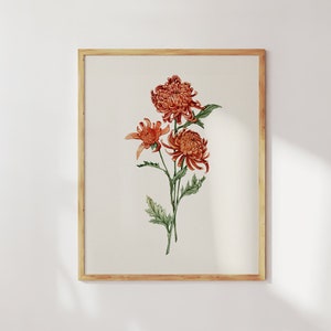 Chrysanthemum art print. November flower art. Watercolor birth flower prints. Birth flower gift