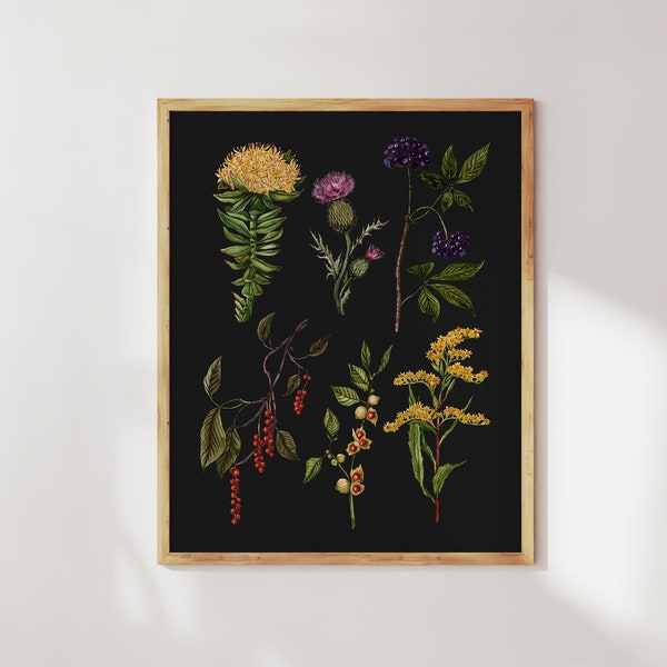 Herbalist dark botanical print. Medicinal plant art. Herbalism wall art. Healing herbs gift. Herbal apothecary. Naturopath office decor