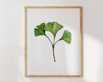 Ginkgo leaf print. Fine art botanical print. Green wall art - Gingko Biloba