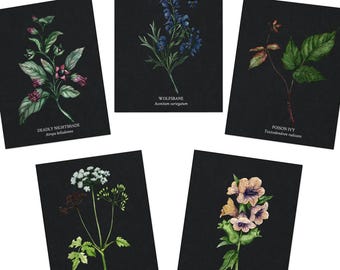 Poison Garden Greeting Cards (5-Pack) - Witchy Botanical Cards