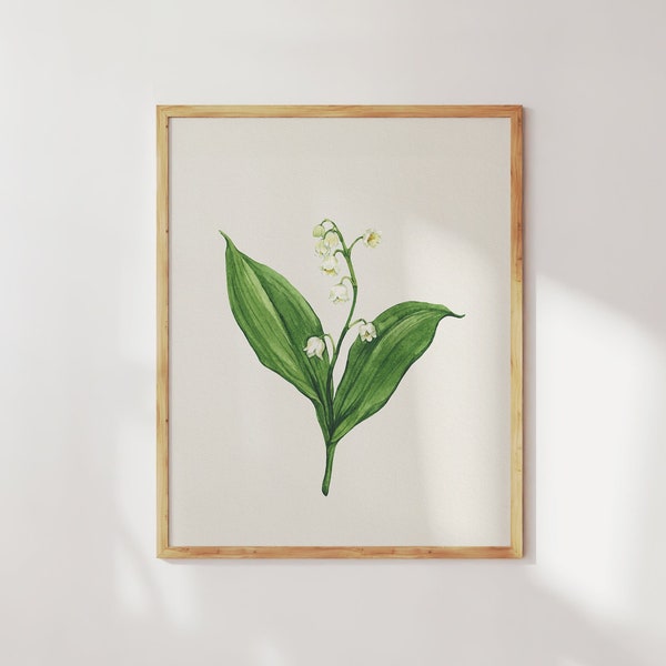 Lily of the valley art print. Lily of the valley wall art. Watercolor lily of the valley plant botanical print