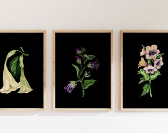 Poisonous Plant Prints: Watercolor Goth Garden Wall Art (Set of 3)